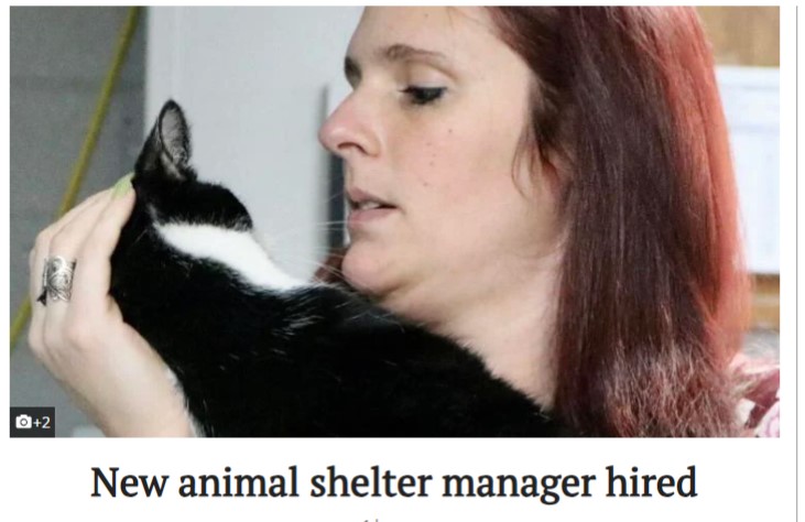 Shelter Manager