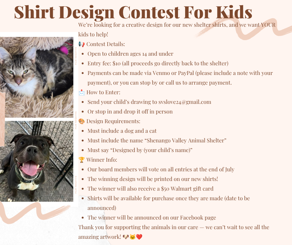 Contest final